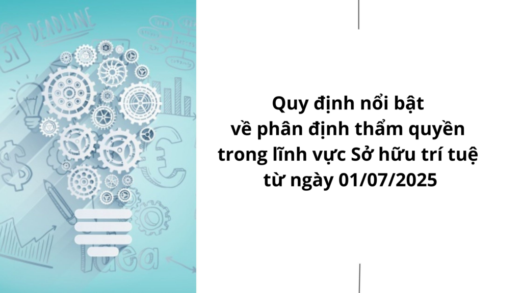 Quy định nổi bật về phân định thẩm quyền trong lĩnh vực Sở hữu trí tuệ