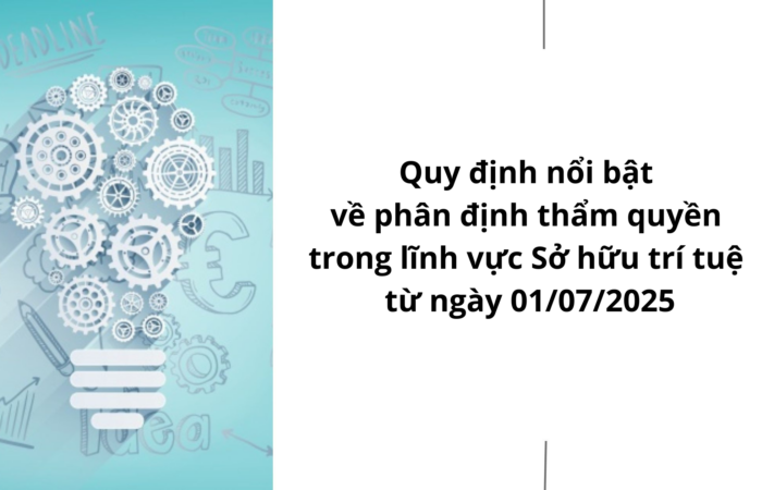 Quy định nổi bật về phân định thẩm quyền trong lĩnh vực Sở hữu trí tuệ