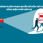 XỬ LÝ HÀNH VI XÂM PHẠM QUYỀN SỞ HỮU TRÍ TUỆ BẰNG BIỆN PHÁP DÂN SỰ