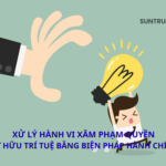 XỬ LÝ HÀNH VI XÂM PHẠM QUYỀN SỞ HỮU TRÍ TUỆ BẰNG BIỆN PHÁP HÀNH CHÍNH