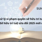 Cơ chế xử lý vi phạm quyền sở hữu trí tuệ theo Luật Sở hữu trí tuệ sửa đổi 2025 mới nhất