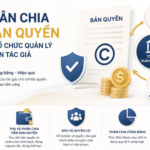 Thu, phân chia tiền bản quyền