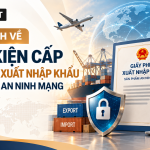 Giấy phép xuất nhập khẩu sản phẩm an ninh mạng